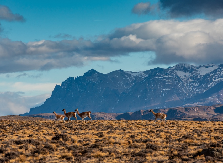 ParquePatagonia