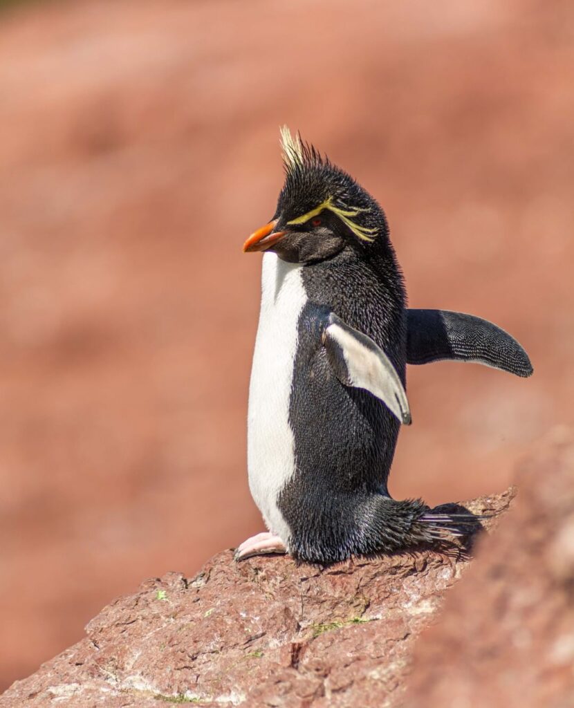 Campamento-darwin-buentour-2