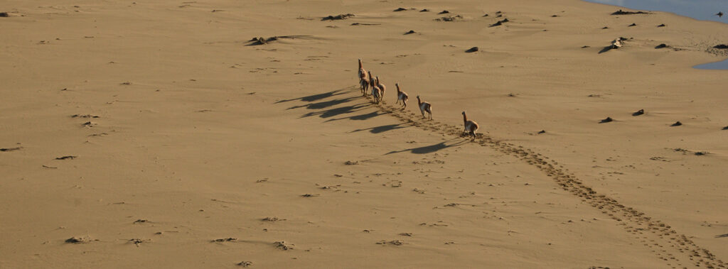 PeninsulaMitre-desktop-07