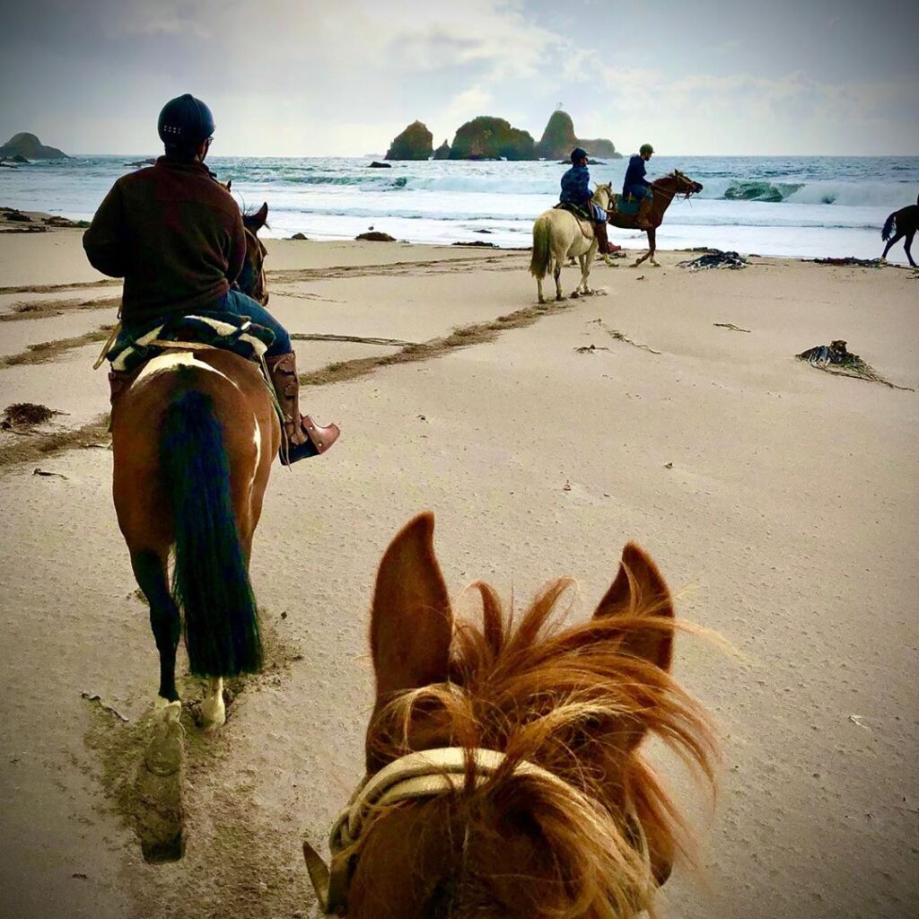 hotel-mari-mari-buentour-5