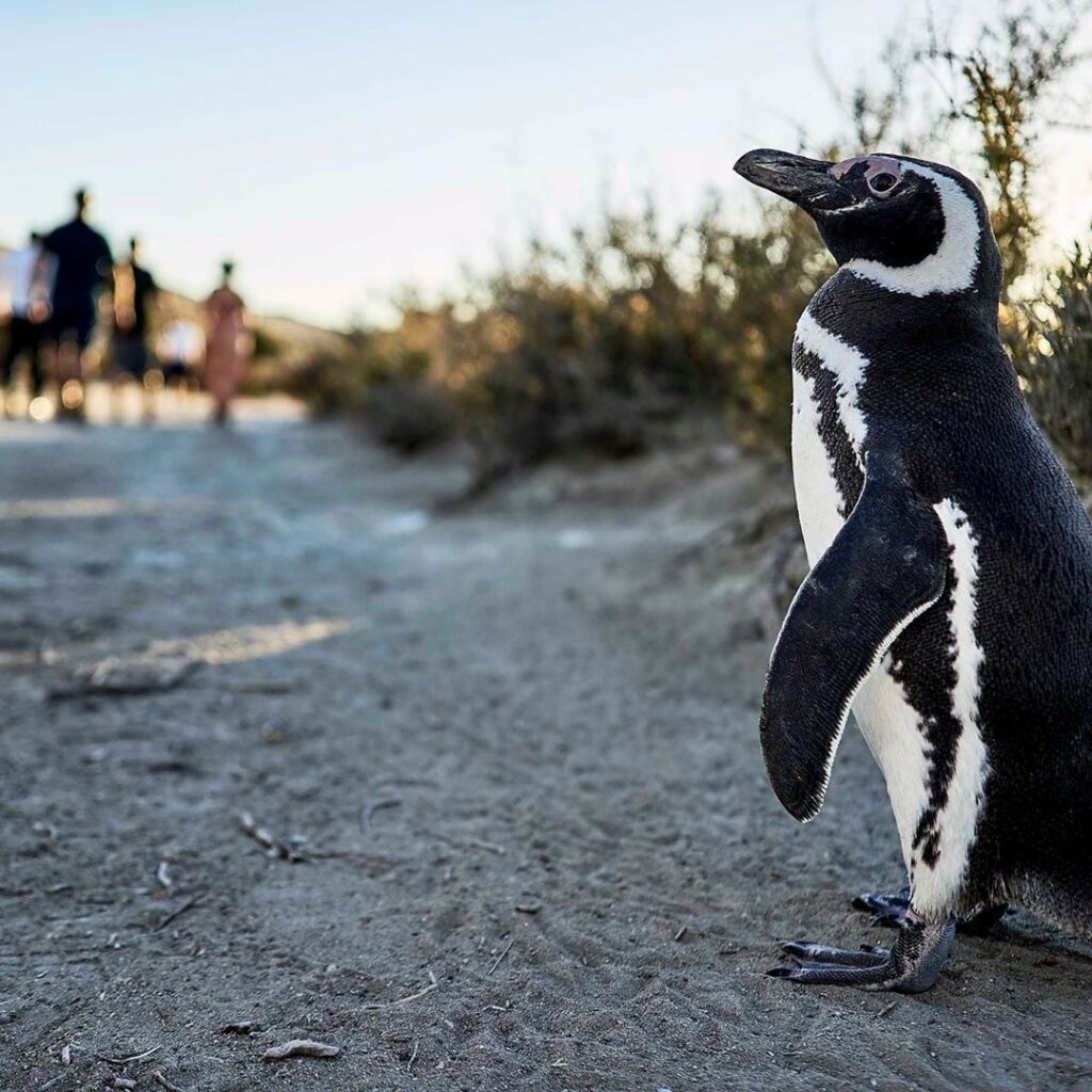 reserva-el-pedral-buentour