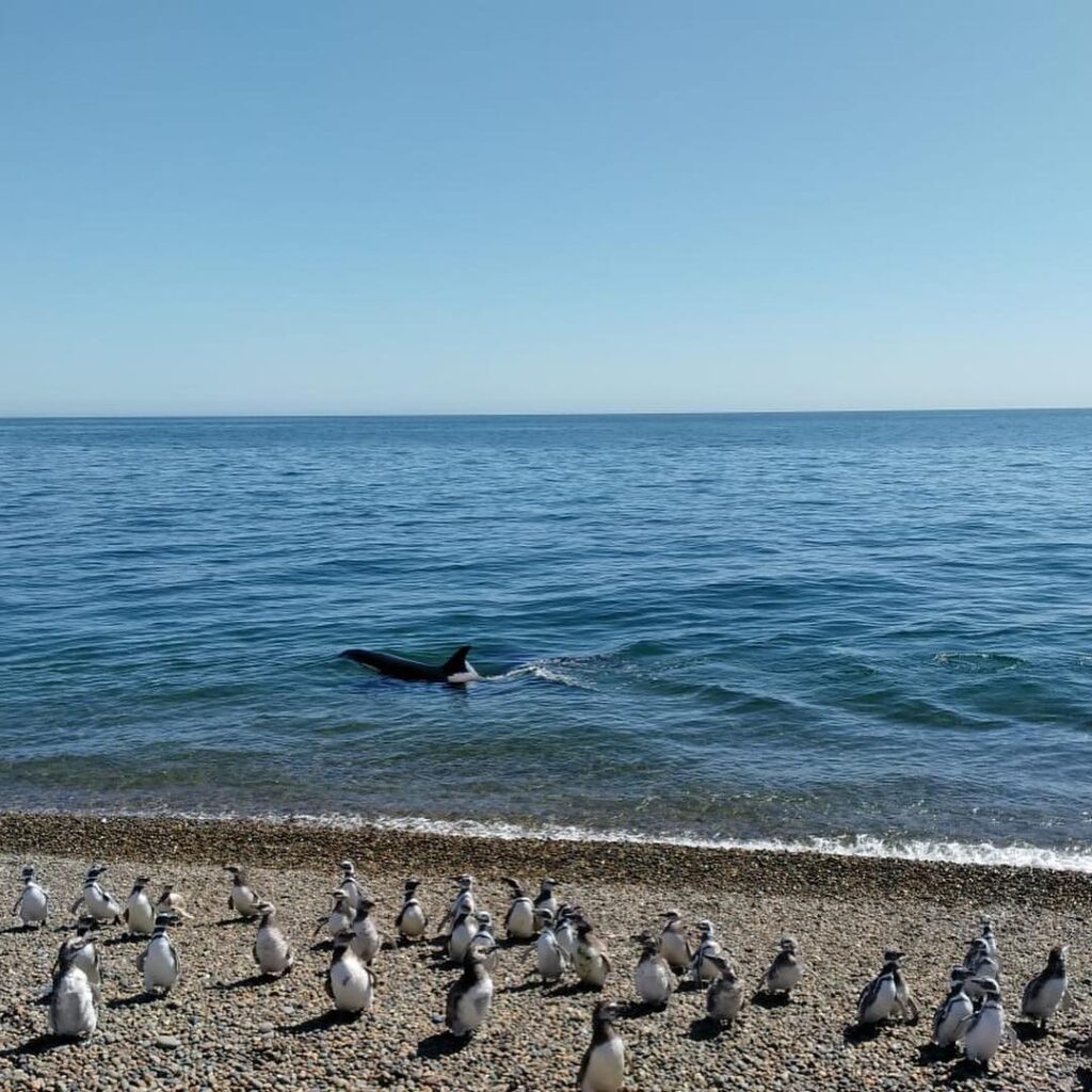 reserva-el-pedral-buentour-2